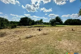 105 N John Bird, Blanco, TX 78606 - Photo 38