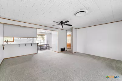 3628 State Highway 119, Yorktown, TX 78164 - Photo 8