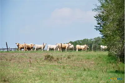 Tbd Fm 532, Shiner, TX 77984 - Photo 18