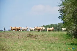 Tbd Fm 532, Shiner, TX 77984 - Photo 18
