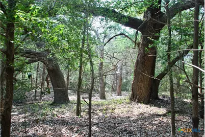 Tbd Fm 532, Shiner, TX 77984 - Photo 30