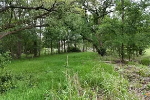 3150 F M 1123, Belton, TX 76513 - Photo 22