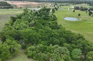 3150 F M 1123, Belton, TX 76513 - Photo 26