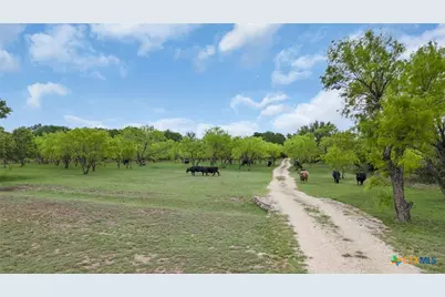 11300 Fm 581, Lometa, TX 76853 - Photo 14
