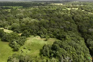 10473 Co Rd 15, Hallettsville, TX 77964 - Photo 28