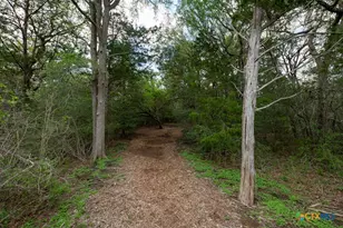 142 Carriage Ct, Bastrop, TX 78602 - Photo 42