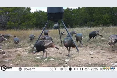 1784 County Road 610, Hamilton, TX 76531 - Photo 18