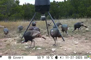 1784 Co Rd 610, Hamilton, TX 76531 - Photo 18