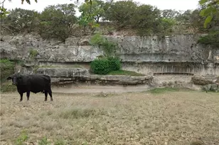 929 Red Bluff Ranch Rd, Pipe Creek, TX 78063 - Photo 2