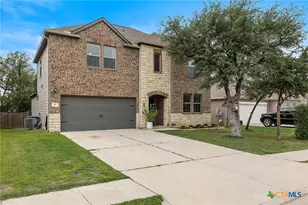 181 Flexus Ln, Liberty Hill, TX 78642 - Photo 4