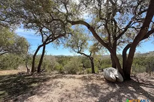 1660 Westview Ct Ct, Canyon Lake, TX 78133 - Photo 38