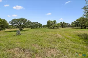 1450 Fm 2342, Kingsland, TX 78639 - Photo 38