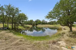 1450 Fm 2342, Kingsland, TX 78639 - Photo 40