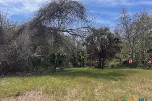 271 W Fm 884, Goliad, TX 77963 - Photo 8