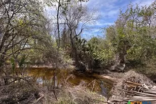 271 W Fm 884, Goliad, TX 77963 - Photo 12