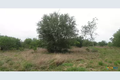 0 Co Rd 426, Lolita, TX 77971 - Photo 28
