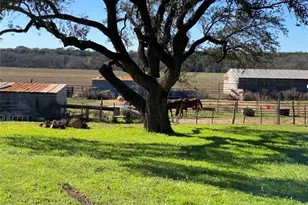 210 E Leon St, Gatesville, TX 76528 - Photo 48