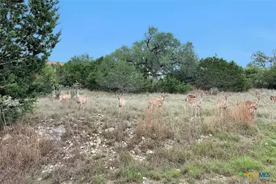 1226 Cougar Drive #15, Canyon Lake, TX 78133 - Photo 28