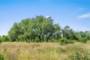 620 Rio Vis Rd, Johnson City, TX 78636 - Photo 16