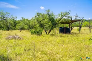 620 Rio Vis Rd, Johnson City, TX 78636 - Photo 28