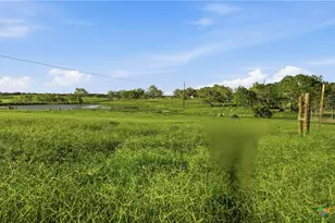 202 FM 466, Cost, TX 78614 - Photo 14