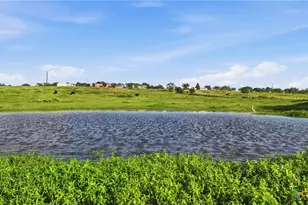 202 FM 466, Cost, TX 78614 - Photo 6