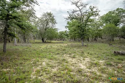 132 Roemer Lane, Floresville, TX 78114 - Photo 44
