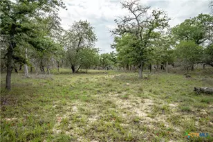 132 Roemer Ln, Floresville, TX 78114 - Photo 44