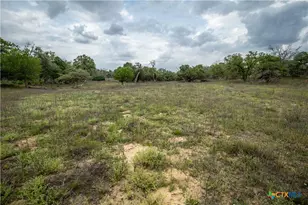 132 Roemer Ln, Floresville, TX 78114 - Photo 42