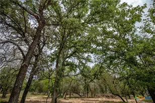 132 Roemer Ln, Floresville, TX 78114 - Photo 28