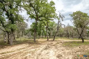 132 Roemer Ln, Floresville, TX 78114 - Photo 22