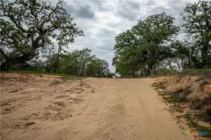 132 Roemer Ln, Floresville, TX 78114 - Photo 36