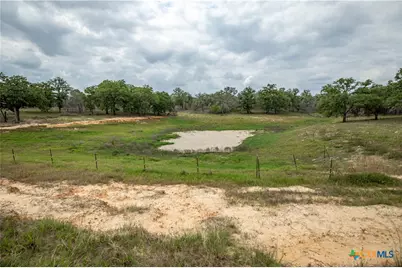 132 Roemer Lane, Floresville, TX 78114 - Photo 46
