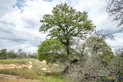 132 Roemer Lane, Floresville, TX 78114 - Photo 20