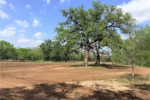 Tbd Fm 86, Luling, TX 78648 - Photo 1