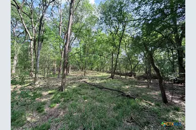 Tbd Fm 86, Luling, TX 78648 - Photo 24