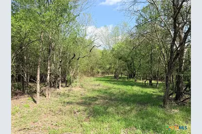 Tbd Fm 86, Luling, TX 78648 - Photo 10