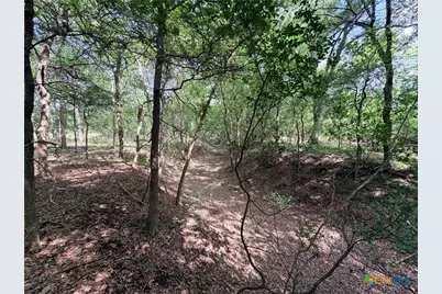Tbd Fm 86, Luling, TX 78648 - Photo 12