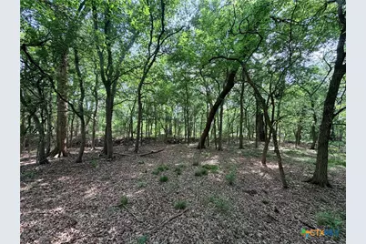 Tbd Fm 86, Luling, TX 78648 - Photo 14
