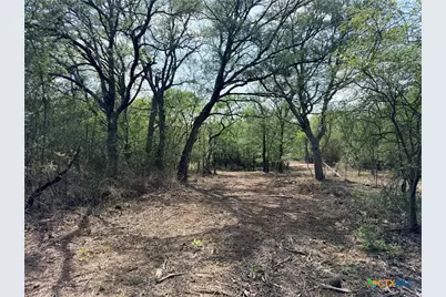 Tbd Fm 86, Luling, TX 78648 - Photo 4