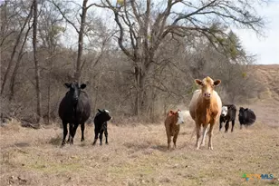 [Address not provided], Holland, TX 76534 - Photo 16