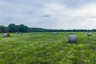 16833 County Rd 2200, Lometa, TX 76853 - Photo 22