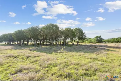 Tbd Cottonwood Mesa Drive, Kempner, TX 76539 - Photo 8