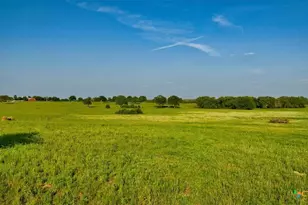 2095 Co Rd 442, Thrall, TX 76578 - Photo 20