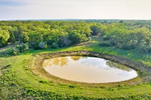 2095 Co Rd 442, Thrall, TX 76578 - Photo 4