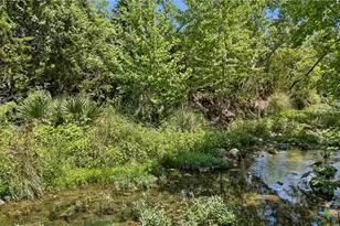 521 Rittimann Rd, Spring Branch, TX 78070 - Photo 8