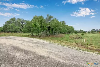 104 David Gage, Blanco, TX 78606 - Photo 1