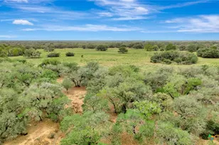16297 State Hwy 111, Yoakum, TX 77995 - Photo 34