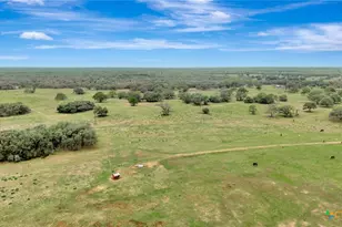 16297 State Hwy 111, Yoakum, TX 77995 - Photo 6