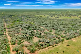 16297 State Hwy 111, Yoakum, TX 77995 - Photo 10